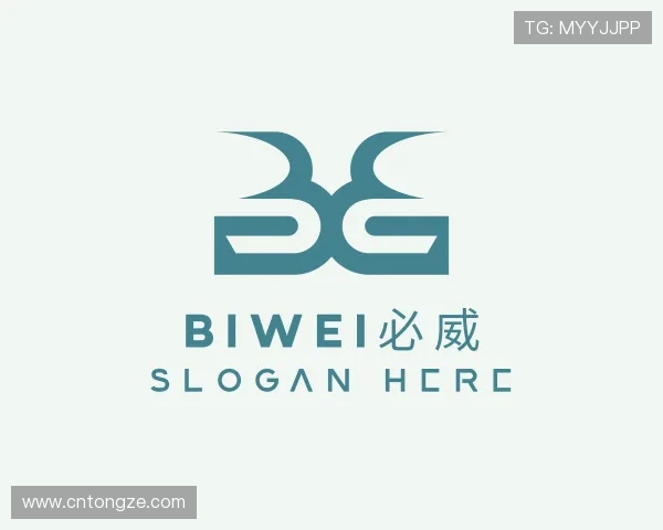 认识biwei必威